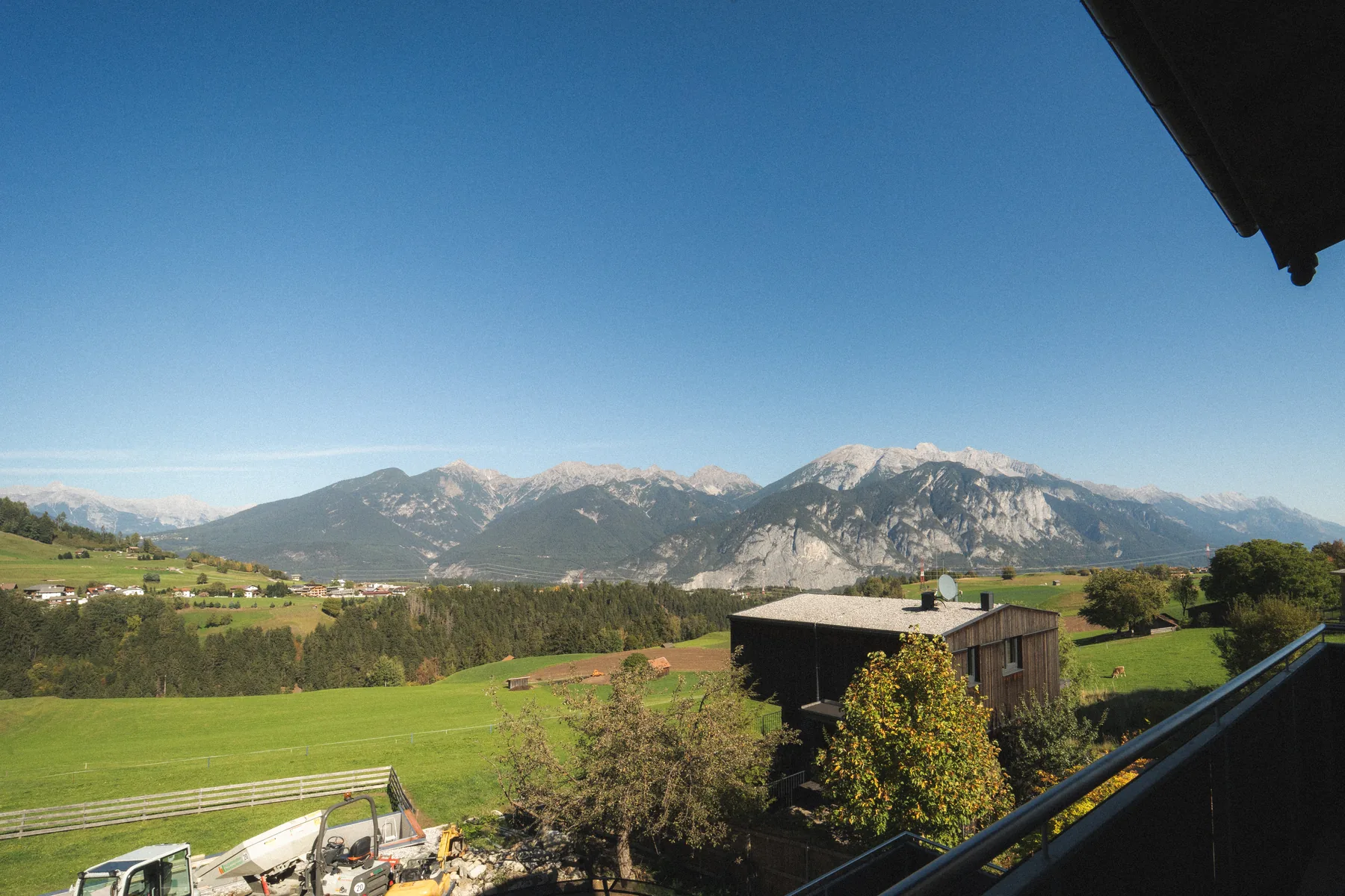 Einblick in das Spatzennest